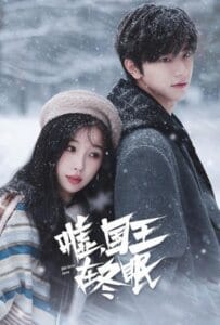 ดูหนังออนไลน์ Ski into Love (2025) ทะยานสกีสู่รัก