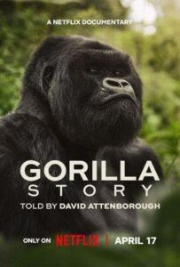 ดูหนังออนไลน์ A Gorilla Story Told by David Attenborough (2026) เล่าเรื่องกอริลลา โดยเดวิด แอทเทนเบอเรอห์