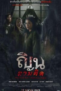 ดูหนังออนไลน์ Don’t Look Back… I Know Your Origins (2024) ณินตามติด