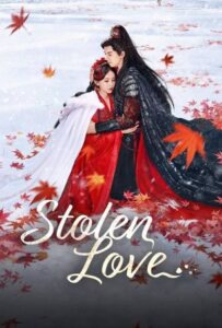 ดูหนังออนไลน์ Stolen Love (2025) ชิงรักสลักใจ